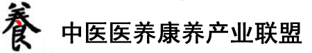 大鸡巴草逼黄色网站视频